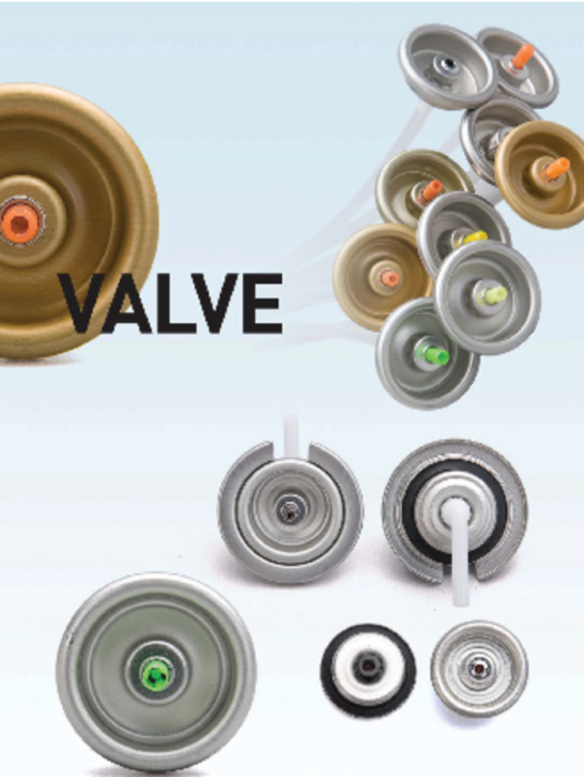 Aerosol Valve